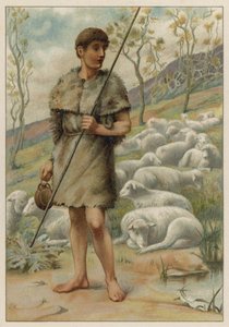 Abel y sus ovejas (cromolito) de English School