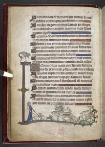 Añadir MS 24686, f.13v Salmo con extensión marginal formando borde parcial, c.1284-1316 (vitela) de English School