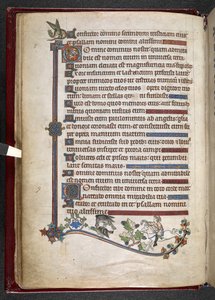 Añadir MS 24686, f.14v, Boy on pony con halcón cazando pato, c.1284-1316 (vitela) de English School