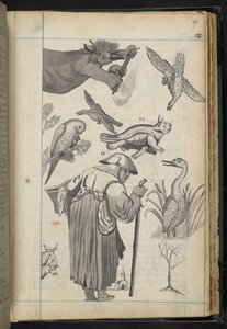 Agregar MS 32496 f.49r Ilustración de 