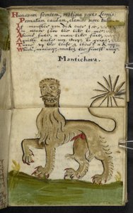 Añadir MS 57312 f.11 Game-book (tinta y color sobre papel vitela)