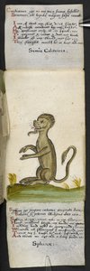 Añadir MS 57312 f.14 Game-book (tinta y color sobre vitela)