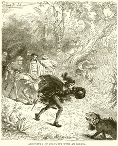 Aventura de Colón con una iguana