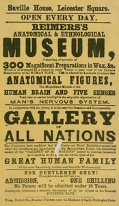 Anuncio del Museo Anatómico y Etnológico de Reimers de English School