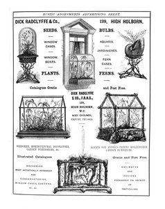 Anuncio de Dick Radclyffe & Co. Rustic Adornments de English School