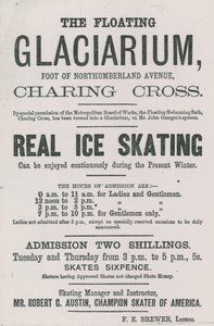 Anuncio del Glaciarium Flotante