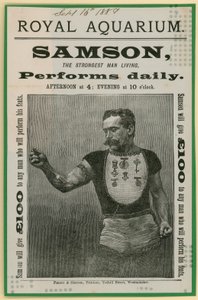 Anuncio de Sansón