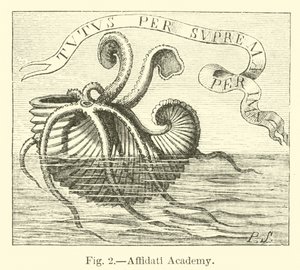 Academia Affidati de English School