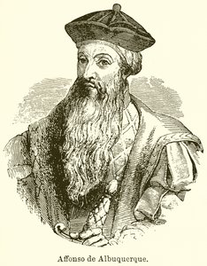Afonso de Albuquerque de English School