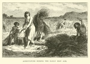 Agricultura durante la Edad del Hierro temprana de English School