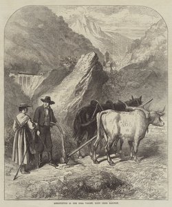 Agricultura en el Valle de Dora, Ferrocarril de Mont Cenis de English School