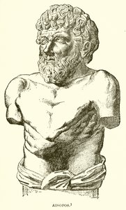Esopo de English School