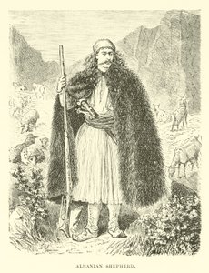 Pastor albanés de English School