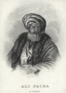 Ali Pacha de English School