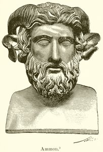 Amón de English School