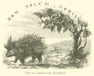 Academia Amorevole