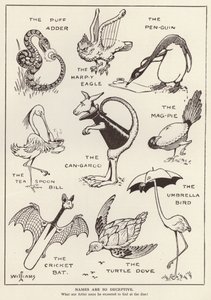 Animales divertidos de English School