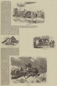 Una carrera equina