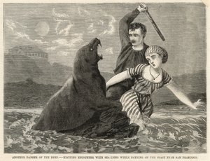 Un emocionante encuentro con leones marinos mientras se bañaba en la costa cerca de San Francisco de English School