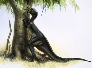 Anatosaurus de English School