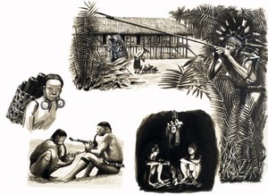 Pueblos antiguos del mundo: Cazadores con cerbatana de Borneo de English School