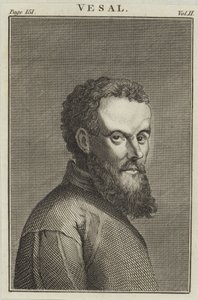 Andreas Vesalio de English School