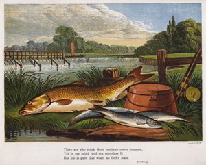 Captura de peces por un pescador en la orilla de un río