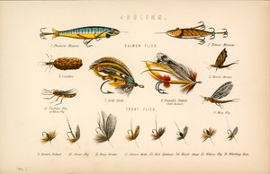 Pesca con caña de English School