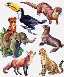 Montaje de animales
