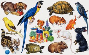 Montaje de Animales de English School