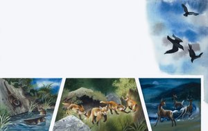 Animales jugando