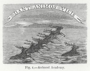 Academia Animosi (grabado)