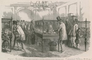 Exposición Anual de Palomas de la Sociedad Philio-Peristeron de English School