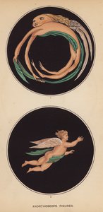 Figuras de anortoscopio (litografía) de English School