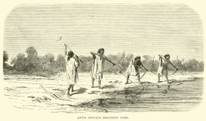 Indios Antis pescando