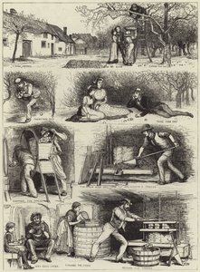 Recolección de manzanas y elaboración de sidra en Devonshire