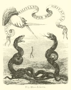 Ariosto de English School