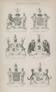 Escudos de armas de English School