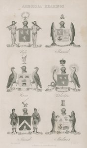 Escudos de armas de English School