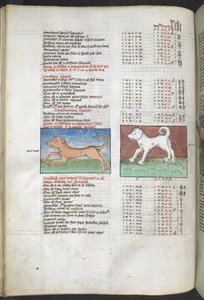 Arundel MS 66 f.44v Canis maior y Canis minor representados como perros 