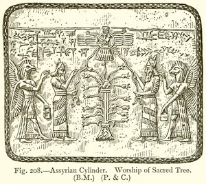 Cilindro asirio. Adoración del árbol sagrado