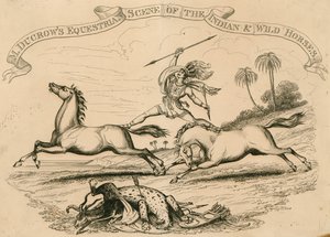 Anfiteatro de Astley, Londres - Escena ecuestre de M. Ducrow de los caballos indios y salvajes de English School