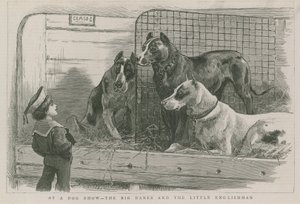 En una exposición canina - los Grandes Daneses y el pequeño inglés