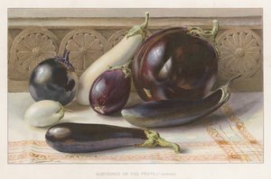 Berenjenas o Frutas de Huevo