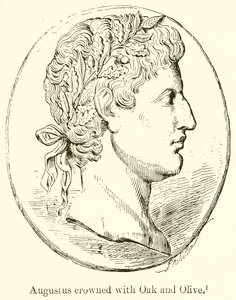 Augusto coronado con roble y olivo de English School