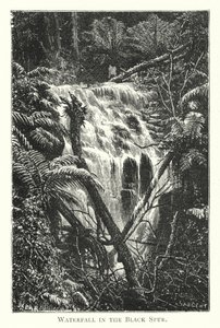 Australia: Cascada en el Black Spur de English School