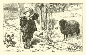 Baa, Baa, Oveja Negra de English School