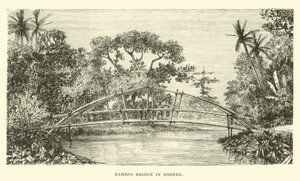 Puente de bambú en Borneo