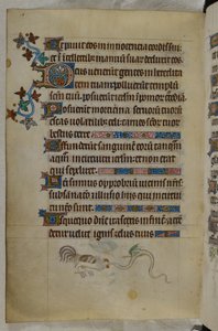 Escena en página baja de un gallo y una serpiente alada luchando, con la inicial "D"(eus) decorada, Salterio ("The Queen Mary Psalter"), Royal MS 2 B VII, f.187v, c.1310-20 (vitela) de English School