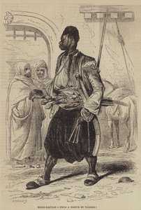 Bashi-Bazouk de English School